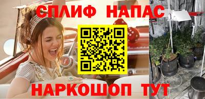 ECSTASY Донской