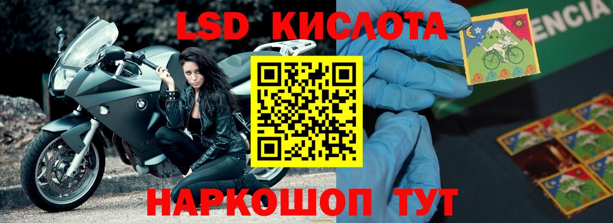 Новошахтинск  ЛСД экстази ecstasy  omg ссылки  Вход с VPN  ЛСД экстази кислота 