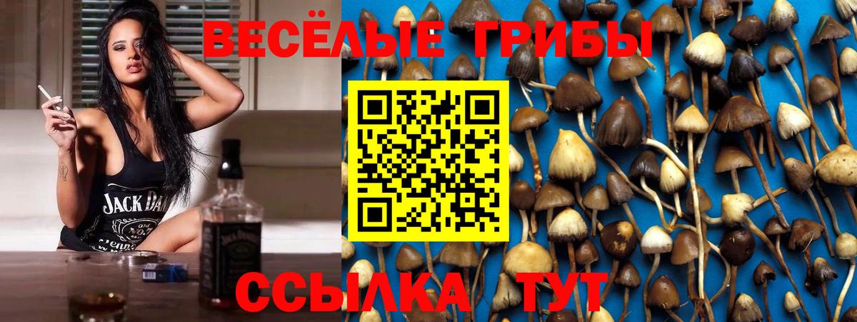 Псилоцибиновые грибы MAGIC MUSHROOMS  Вход с VPN  Новошахтинск  Псилоцибиновые грибы мицелий 